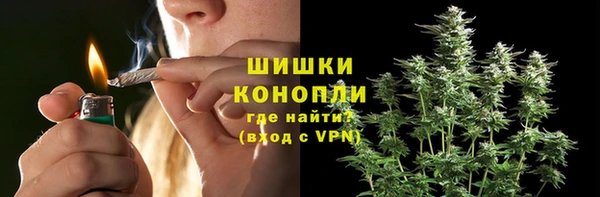 стаф Киренск