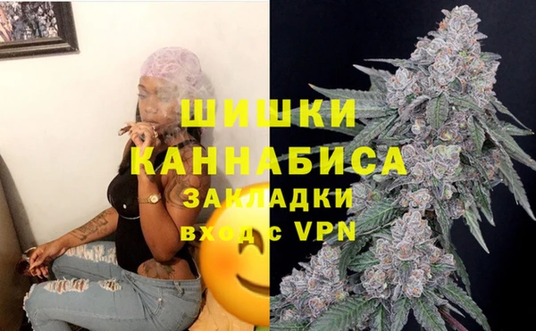 мдпв Кинешма