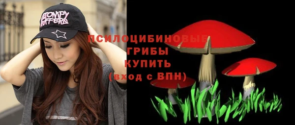 мдпв Кинешма