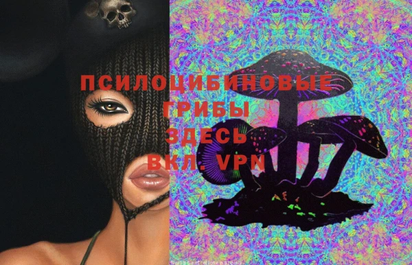 стаф Киренск