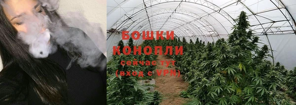 стаф Киренск