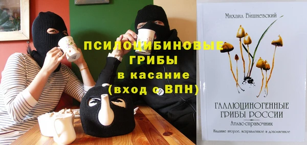 мдпв Кинешма