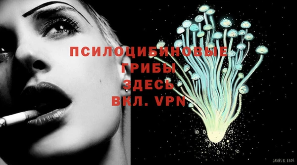 мдпв Кинешма