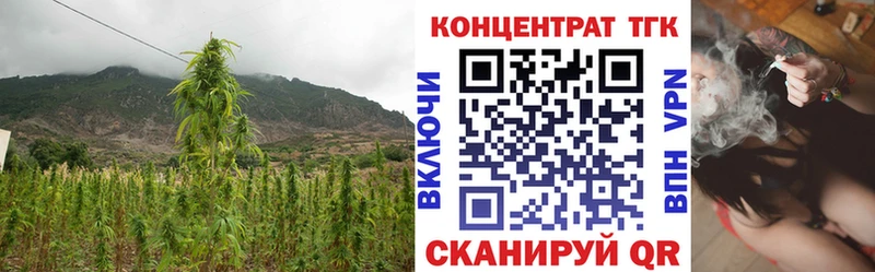 Купить закладки  Ивангород  ТГК жижа 