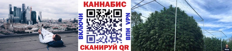 Купить  Ивангород  Канабис AK-47 